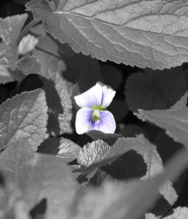 middle of frustration there's a hope