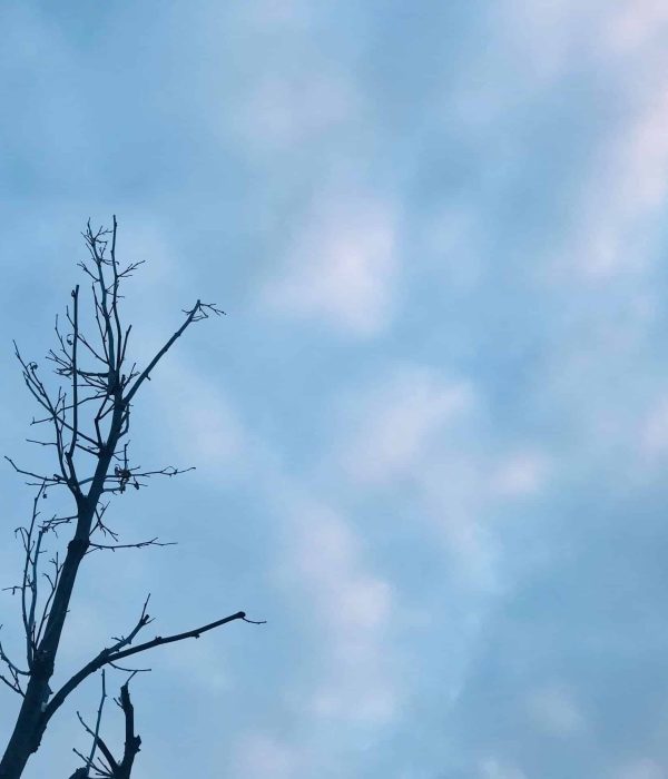 Only from the heart can you touch the sky